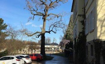 Physiotherapie im Landgrafenhaus