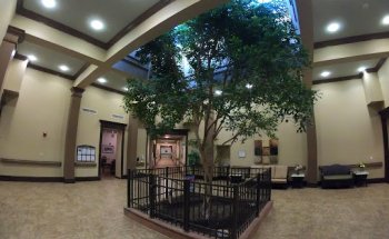 Walnut Creek Healthcare and Rehabilitation Center