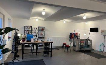 Gangbild - Hundephysiotherapie mit Unterwasserlaufband in Baunatal / Kassel