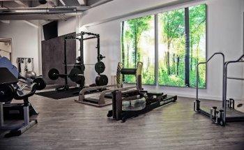 Physiotherapie prophysio Markus Preiß