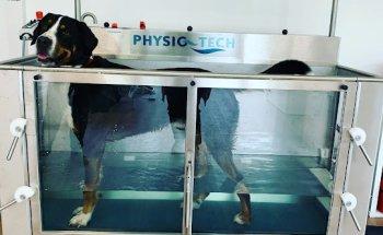 Tierphysiotherapie & Osteopathie Julia Haas