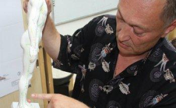 Sergej Nelski - TAM Therapie- und Fortbildungszentrum (Akupunktur, Physiotherapie, Heilpraktiker)