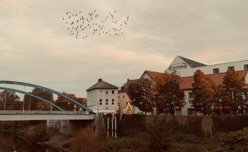 Physiotherapie Klaus Albring