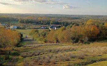 Ergotherapie und Handtherapie Mareike Langner