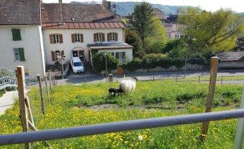 Zentrum für sexuelle Gesundheit