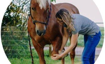 Tierphysiotherapie und Osteopathie Sinah Adler