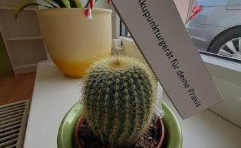 Praxis für Physiotherapie Annette Brunzlow