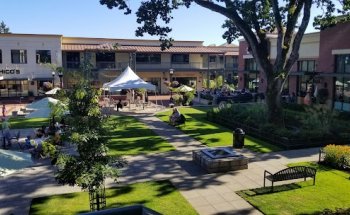 Eugene Physical Therapy