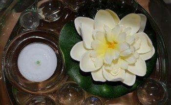 Wellness-Massage-Therapie Eigene Scholle