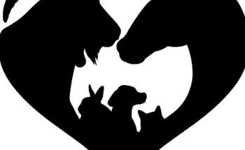 Tierheilpraxis Ernstberger