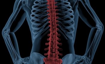 Rehabilitation Sports & Spine Center PS