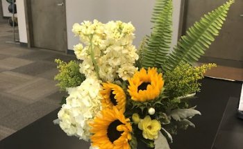 IRG Physical Therapy - North Everett