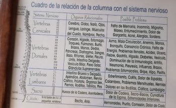 Terapia y Rehabilitación Física MTT