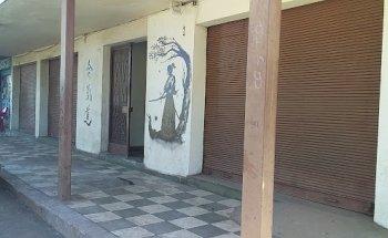 Academia de Aikido Aikikai Cauquenes