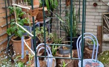 M. Bolz Massage-Praxis