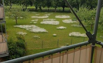 Physiotherapie Iordanis Michailidis