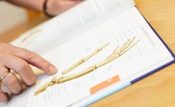 Praxis für Ergotherapie Marita Nolte