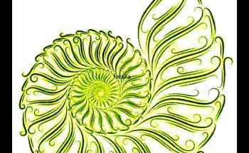 Anke Heßelmann, Praxis für Osteopathie und private Physiotherapie, auch für Kinder und Säuglinge