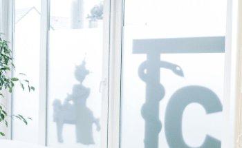 Christian Tarara TC-PHYSIOTHERAPIE