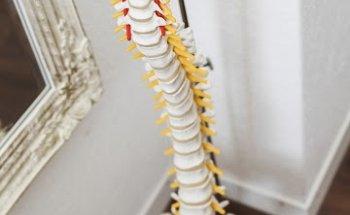 TTZ Rothenburg - Physiotherapie im Flecken