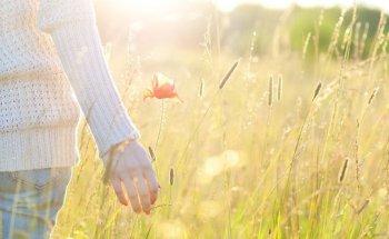 Lanvers | Schäfers – Heilpraktikerin | Hebamme