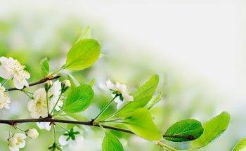 Physiotherapie Schaefer -Erftstadt