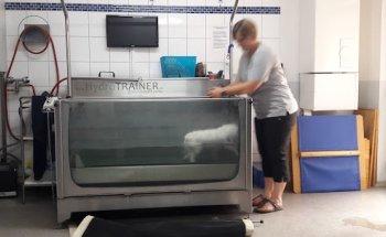 Tierisch Vital Tierphysiotherapie - Lisa Keller