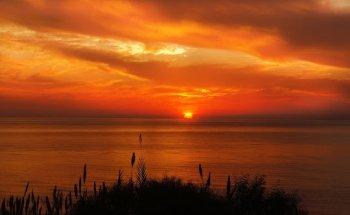 Melanie Zimmermann Praxis für Physiotherapie und Naturheilkunde - Raum für Lösungen