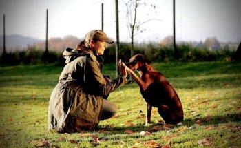 liebespfoten.de Hundephysiotherapie • BARF-Ernährungsberatung