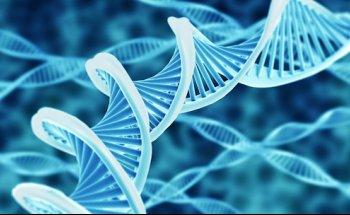 Praxis für Physiotherapie (SYNLAB Ettlingen)