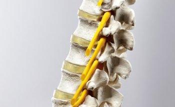 Körperraum Osteopathie und Physiotherapie