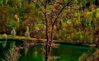 Arno Lingscheid Physiotherapie am Werthertor