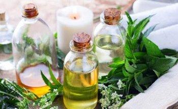 Physiotheraphie Bluhm Falkensee