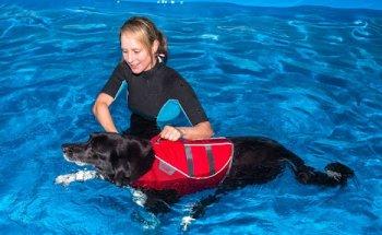 P4 Das Hunderevier, Sabrina Kemmner Hundephysiotherapie