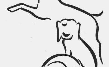 Praxis für Hundephysiotherapie u. Hundeosteotherapie Sonja Voelcker