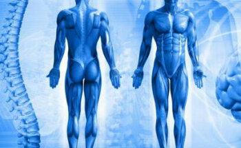 OSTEOPATIA CAMPO DE GIBRALTAR