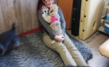 Dorn Therapiezentrum für Hunde