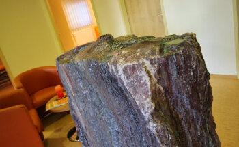 Physiopraxis Number 1 - Physiotherapie - Massage