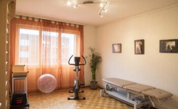 Mr. Bertrand Zumwald