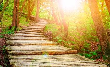 Dirk Niestroy Physio im Bardohaus