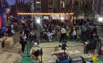 The Pavilion at Sunny Hills