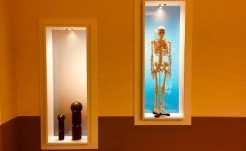 Physiotherapie Greven in Dülken I Schmerztherapie nach Liebscher & Bracht