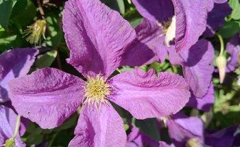 Praxis für Physiotherapie Werner Kostikov