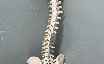 Empower Change Physical Therapy LLC