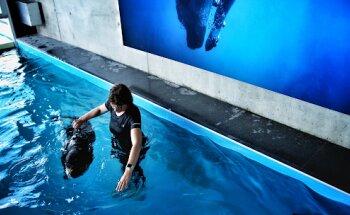 Kynomotion hydrotherapie en fysiotherapie voor honden