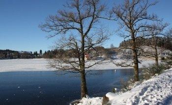 Physio Team Wienpahl