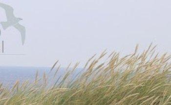 Physiotherapie Physio Zentral - Verena Schlender