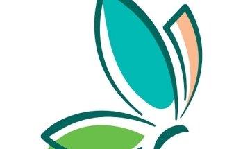 Bewegungsfarben - Praxis für Physiotherapie und Bewegung