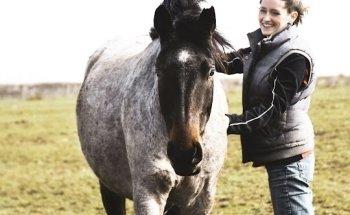 Pferdeosteopathie Heinsberg - EquiMobilis Kira Schaffrath