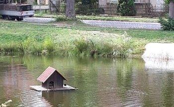 Physiotherapie Rohn-Münch